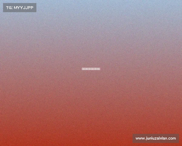 河南竞速电子科技有限公司